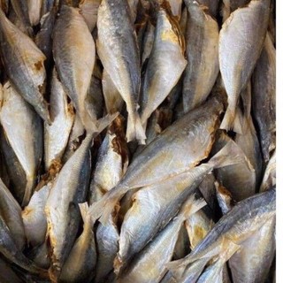 Cá Nục khô mặn, Khô cá nục mặn, cá mặn ăn cơm - Túi 1kg