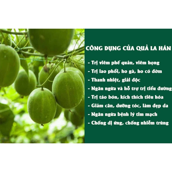 Quả La Hán Quả Khô Hàng Cao Cấp Loại 1 Giúp Thanh Nhiệt Giảm Stress, Thúc Đẩy Giảm Cân