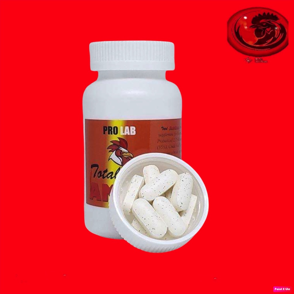 AMINO TOTAL nuôi Gà tơ nở cơ, cự mạnh, nhanh tới đá