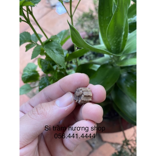 Charm hoa sen trầm hương tốc