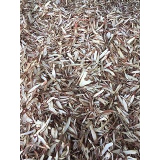 Sâm cau đỏ rừng (khô) Tây Bắc