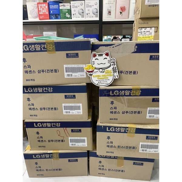 Combo 10 gói dầu gội dầu xả Whoo đông y 8ml