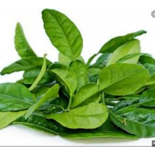 100gr Lá chanh  ( tươi)