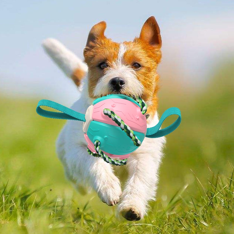 HamshMoc Đồ Chơi Đĩa Bay Trọng Lượng Nhẹ Huấn Luyện Cún Cưng