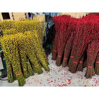 Bông Lúa Mạch VàNG