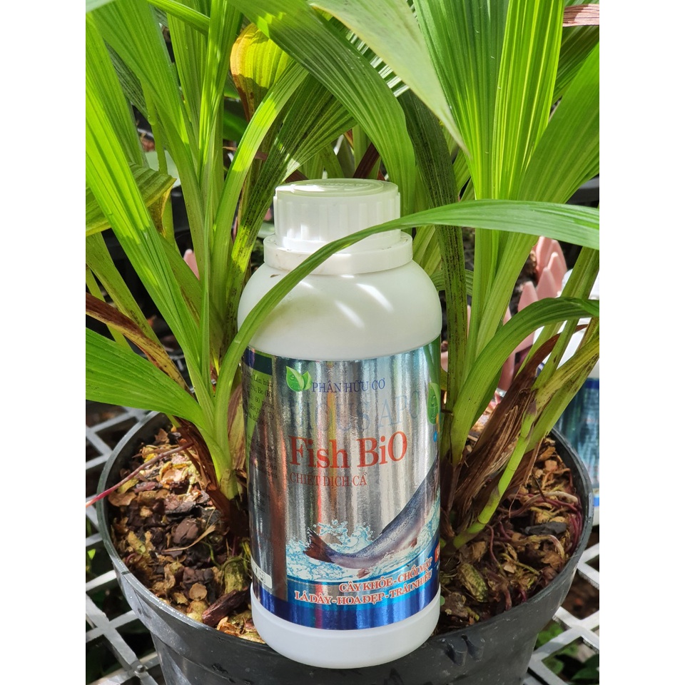 FISH BIO PHÂN CÁ KHÔNG MÙI THỂ TÍCH 500ML  -Mai Huy