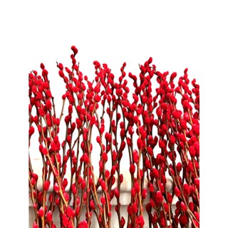 NỤ TẦM XUÂN TRƯNG TẾT TÀI LỘC MAY MẮN - CÓ MÀU ĐỎ VÀ VÀNG - NỤ TẦM XUÂN HOA CẮM NGÀY TẾT - TRANG TRÍ NHÀ CỬA