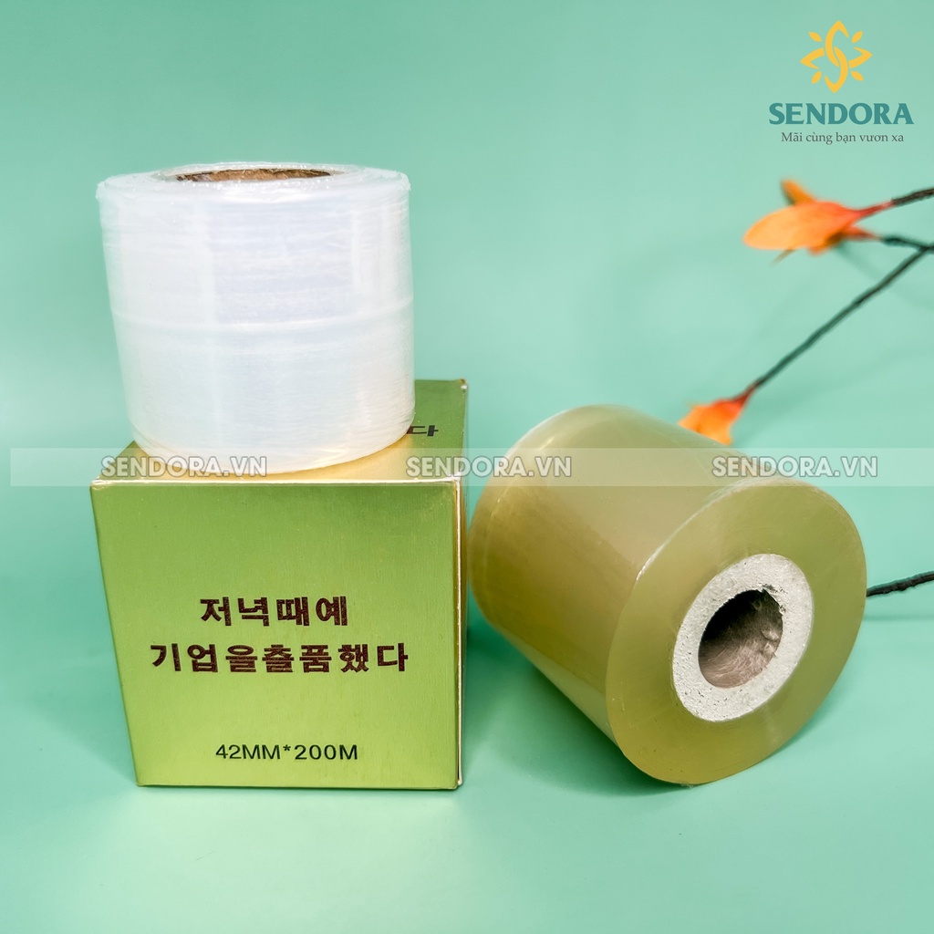 Băng keo ủ tê mày, môi - Nilon ủ tê