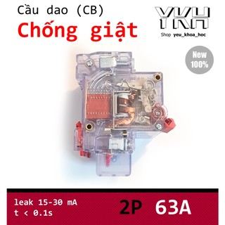Cầu dao chống giật. 2P63A (CB)