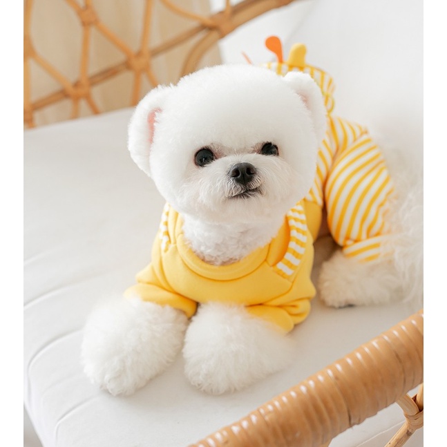 JUM HƯƠU VÀNG KÈM TÚI XINH XẮN, LÓT LÔNG ẤM ÁP MÙA ĐÔNG CHO THÚ CƯNG