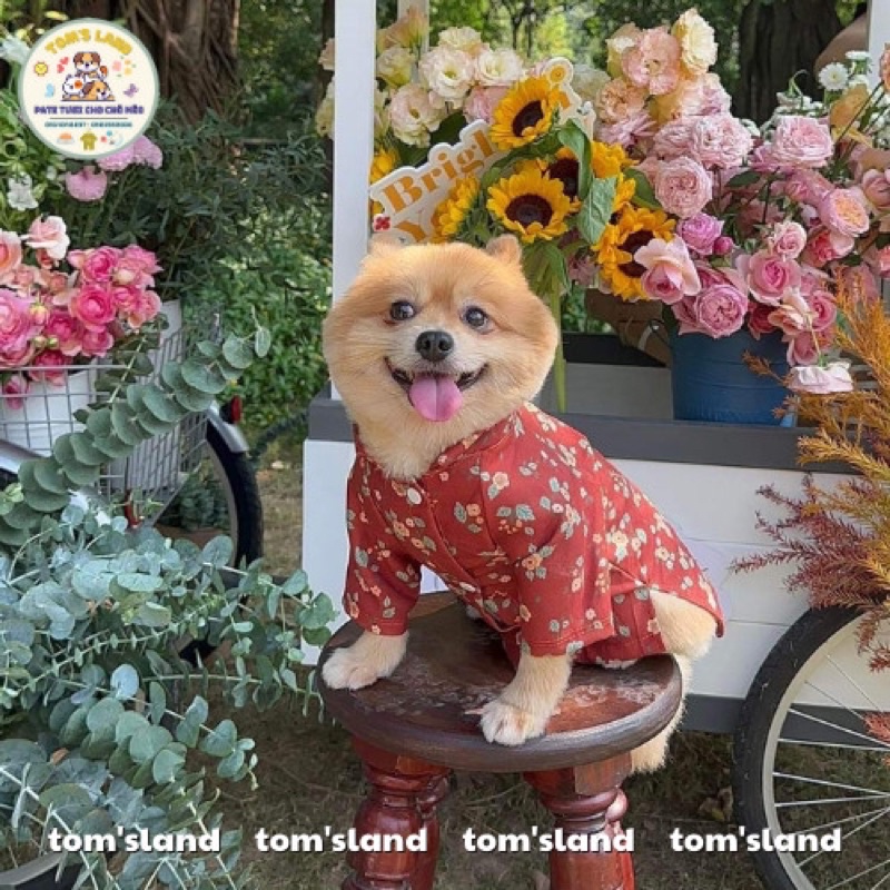 Áo Dài Tết Nhung Tăm Hoạ Tiết Hoa Thu Đông Cho Chó Mèo - Áo Dài Cho Thú Cưng -Siêu Mềm Mại