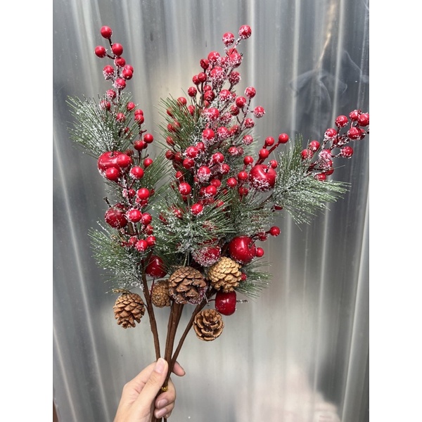 ĐÀO ĐÔNG TUYẾT -ĐÀO ĐÔNG NOEL