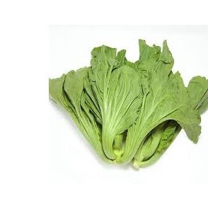 10gr hạt giống cải bẹ dưa muối