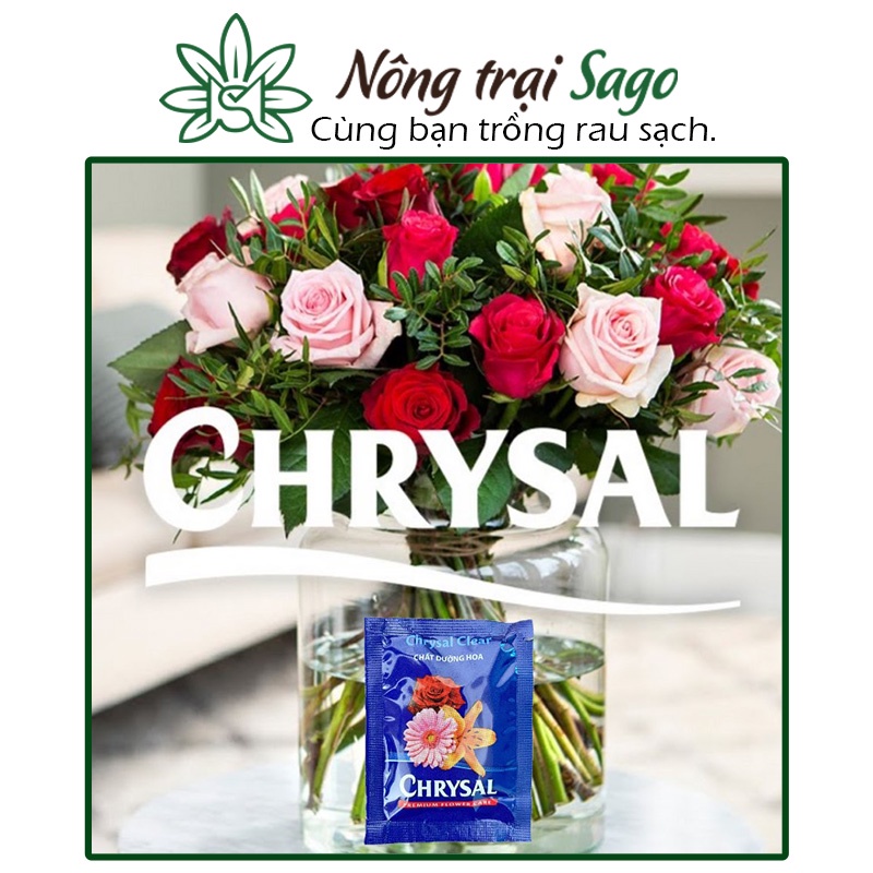 Dưỡng hoa tươi lâu Chrysal (combo 50 gói) nhập khẩu Hà Lan - chất dưỡng hoa lâu tàn, chống thối nước - Nông Trại Sago