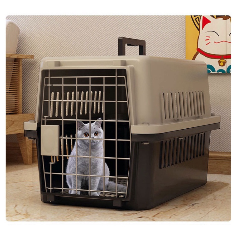 [ HỎA TỐC] Lồng Hàng Không 58x37x35cm, Lồng Vận Chuyển Thú Cưng Chó Mèo Đi Xa Tiện Lợi Dành Cho Thú Dưới 10kg
