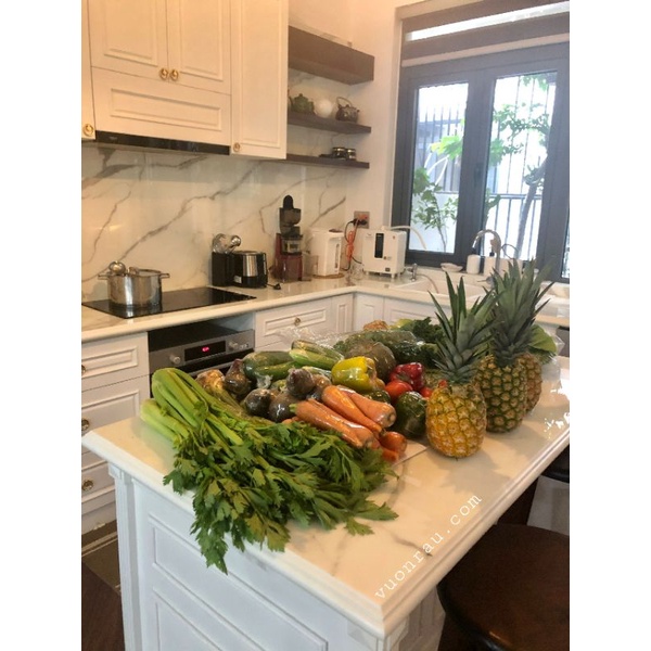 Cần tây Đà Lạt 500g cọng to ép nước / Nước ép cần tây tươi