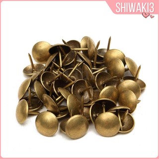 Set 100 Đinh Tán / Ghim Cài Bằng Đồng Cổ Điển Đa Ứng Dụng