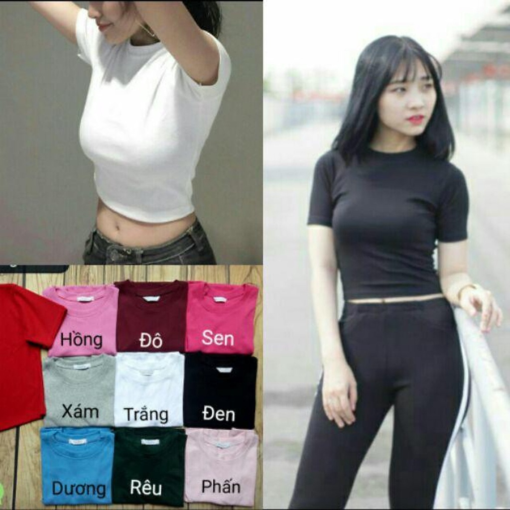 Áo thun croptop cổ tròn ngắn tay dáng ôm vải thun Bozip crop  co tròn co giãn - MAC boutique