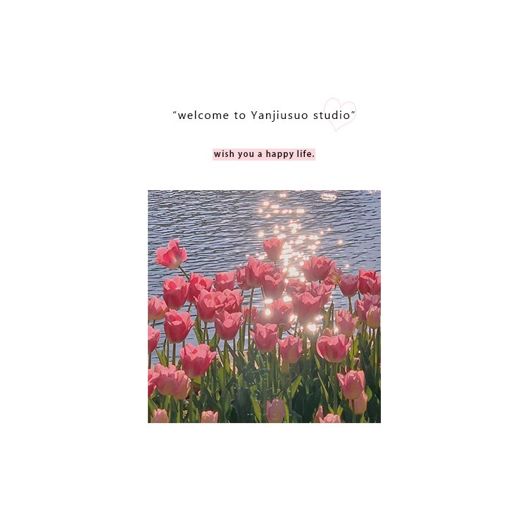 Bông Tai Hình Nơ Đính Đá Zircon Sang Trọng Cho Nữ