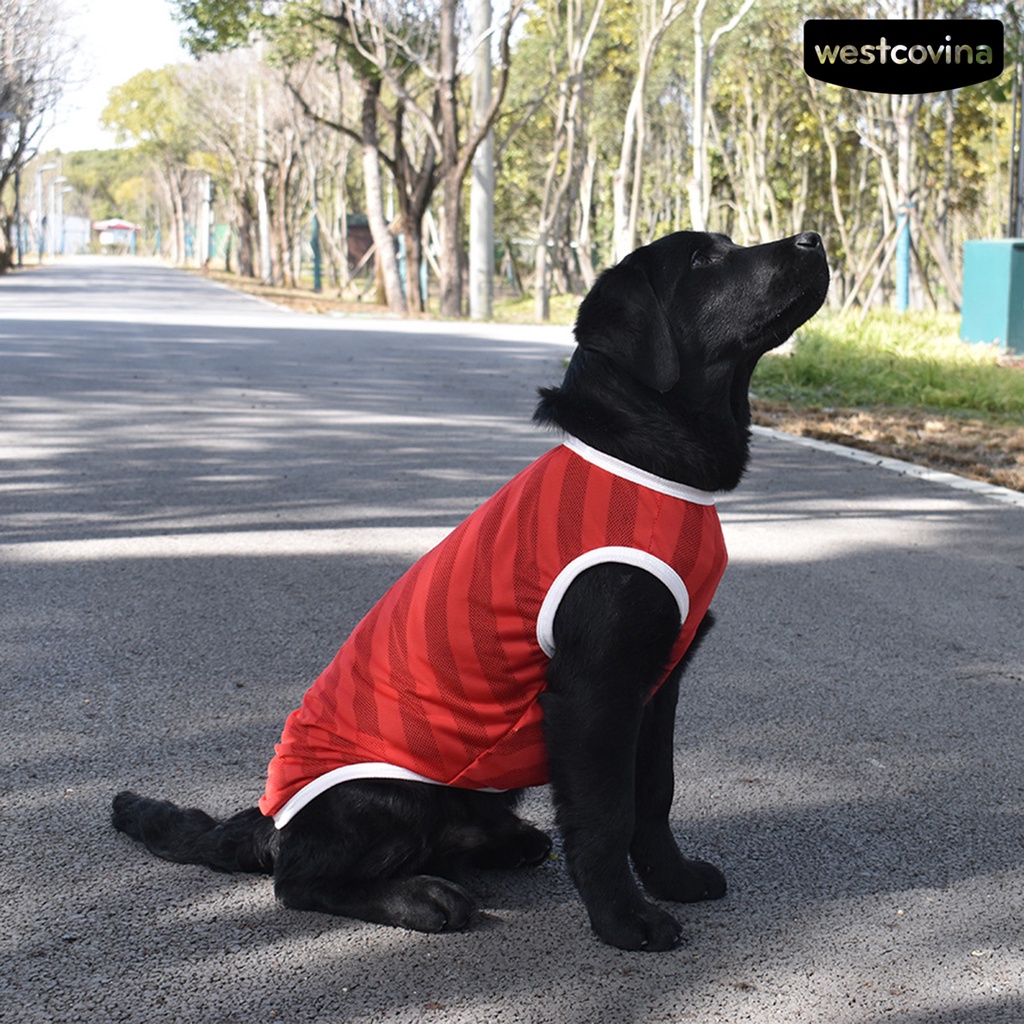 [COD]♘Áo Thun Thể Thao Dạng Lưới Thoáng Khí Cổ Tròn Dành Cho Cún Cưng