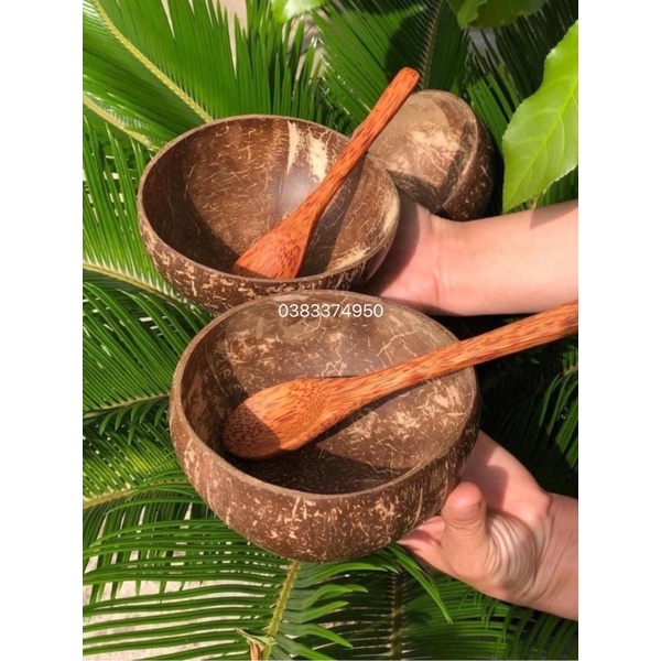 Combo Bát gáo dừa + Muống gỗ dừa được làm từ 100% gáo/ gỗ dừa tự nhiên Bến Tre