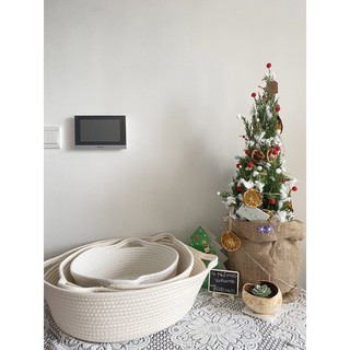 Ổ nằm cho mèo ship hoả tốc đồ decor