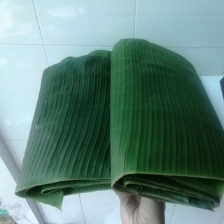 1kg lá chuối xiêm tươi