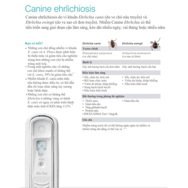 Bộ ký sinh trùng máu SNAP 4D Plus trên Chó Mèo