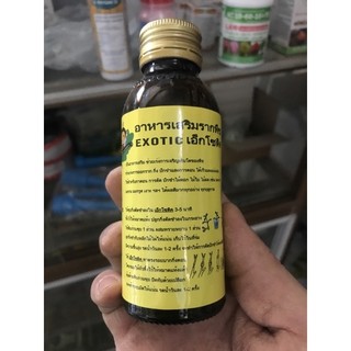 Kích rễ Thái Lan Exotic kích rễ giâm ghép cành
