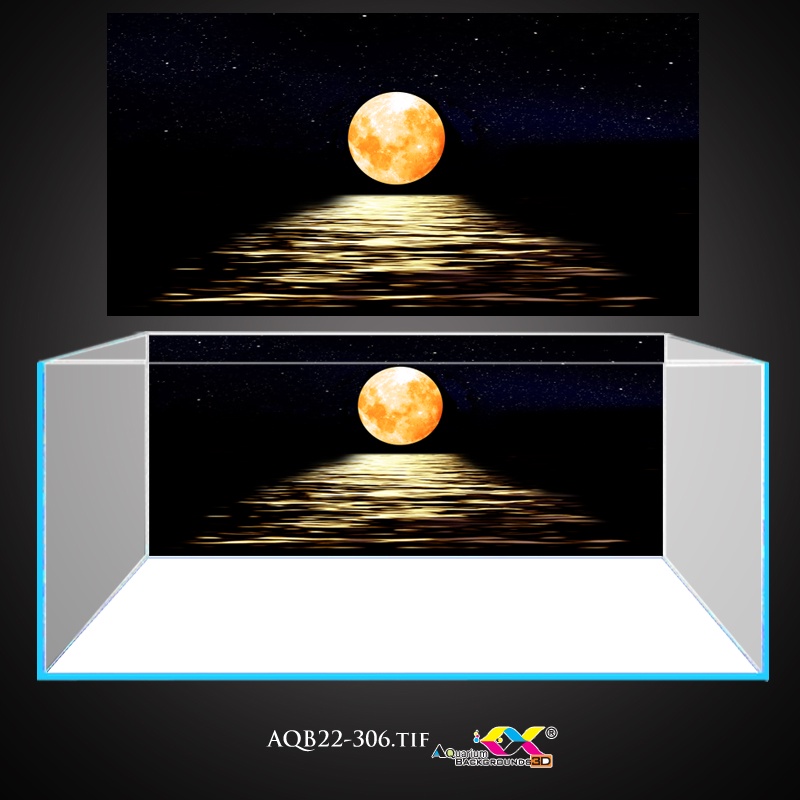 Tranh 3D Koifish - Tranh 3D dán bể cá - Ánh trăng vàng trên mặt sông đen