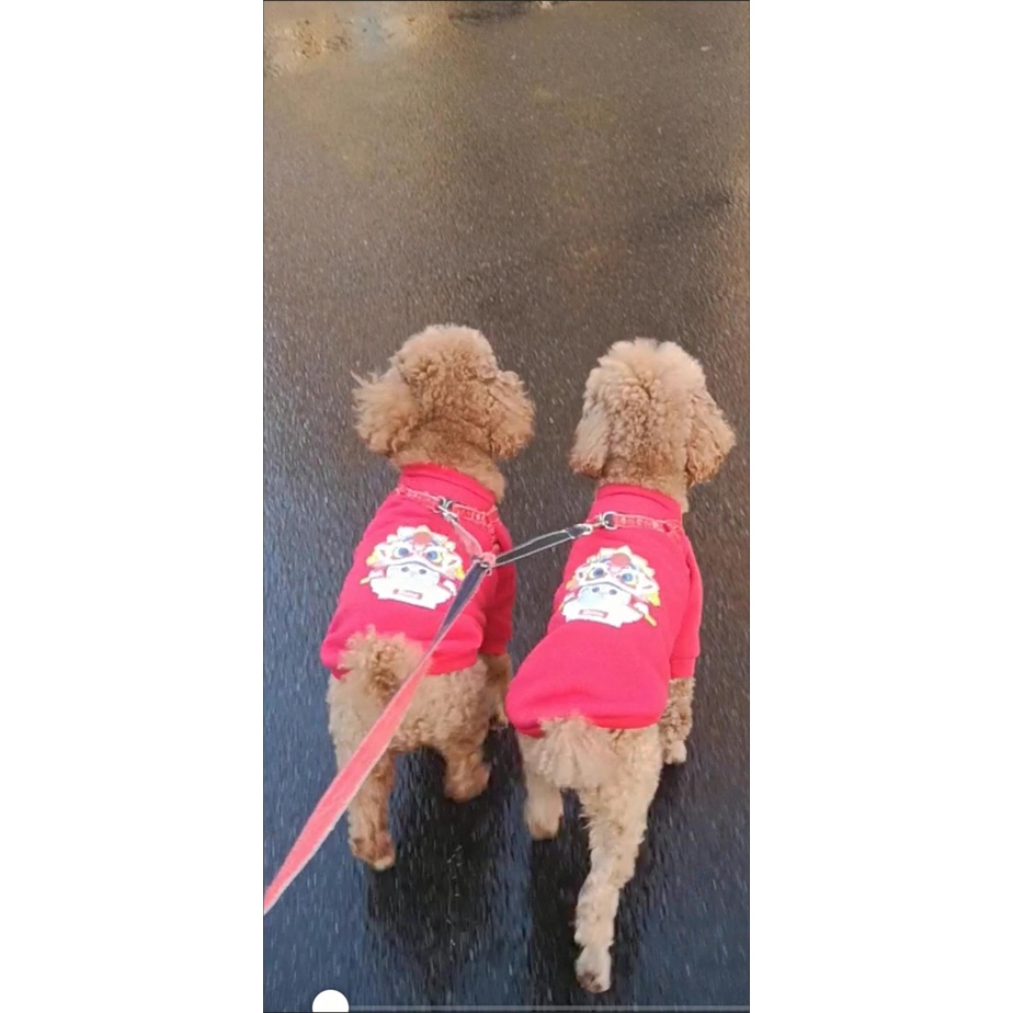 Áo họa tiết thời trang độc đáo cho chó mèo