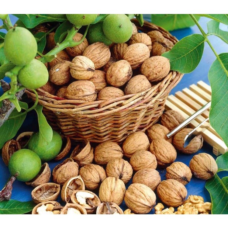 500gr Nhân hạt óc chó vàng Mỹ đã tách vỏ