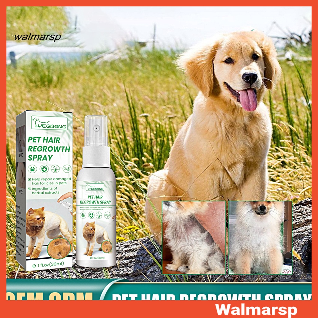 Dung Dịch 30ml Chống Rụng Tóc Giúp Thú Cưng Mọc Lông Thú Cưng Tiện Dụng