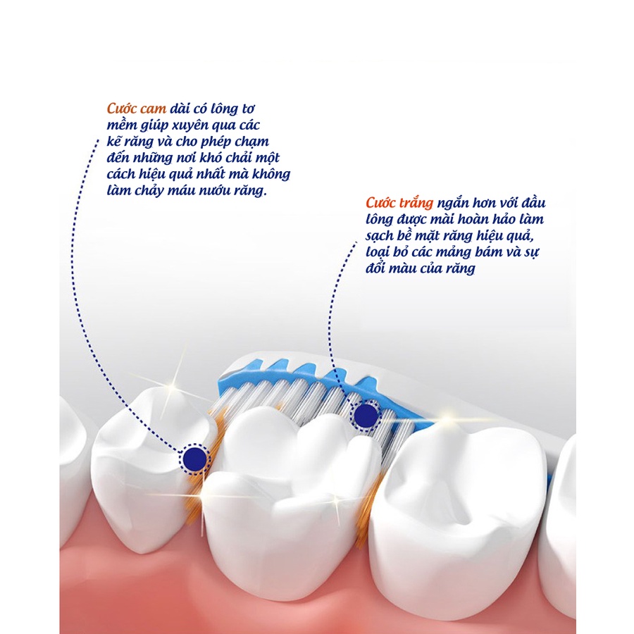 Combo 2 Vỉ Đôi Bàn Chải Đánh Răng Lông Tơ Siêu Mềm Trisa Pro Interdental Duo