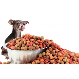 <800g> Thức Ăn Cho Chó Mèo - Mix Vị ( THỊT BÒ, CỪU, CÁ, RAU CỦ)