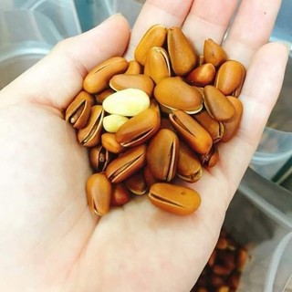 Hạt thông mỹ tách vỏ - 250g - 500g - 1kg