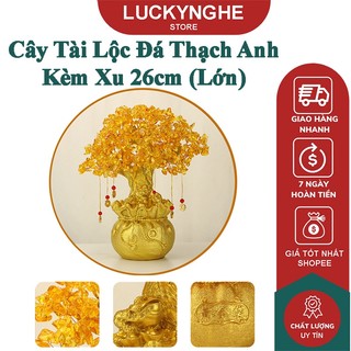 Cây tài lộc đá thạch anh kèm xu 18/26cm