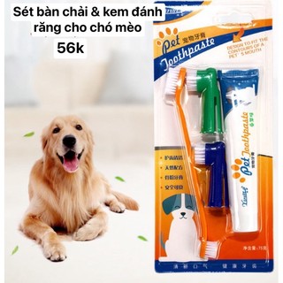 Bộ Đánh Răng Kem Đánh Răng Bàn Chải Đánh Răng Chó Mèo