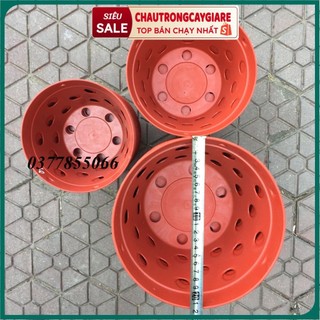 Chậu nhựa, giỏ treo chuyên dụng trồng lan giả gốm đất nung giá rẻ đa dang kích thước từ 17-20-22cm