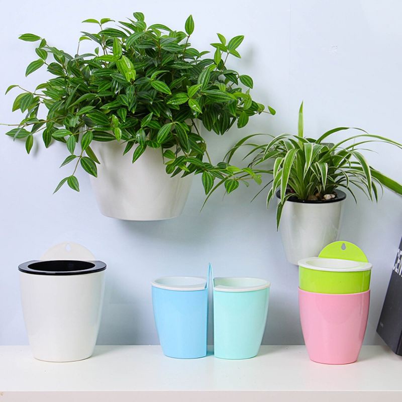 Chậu trồng cây thông minh tự dưỡng treo tường - chậu tự dưỡng ốp tường size lớn 19x16cm