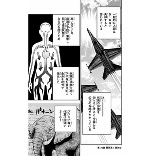 Jujutsu Kaisen 20 (Japanese Edition)