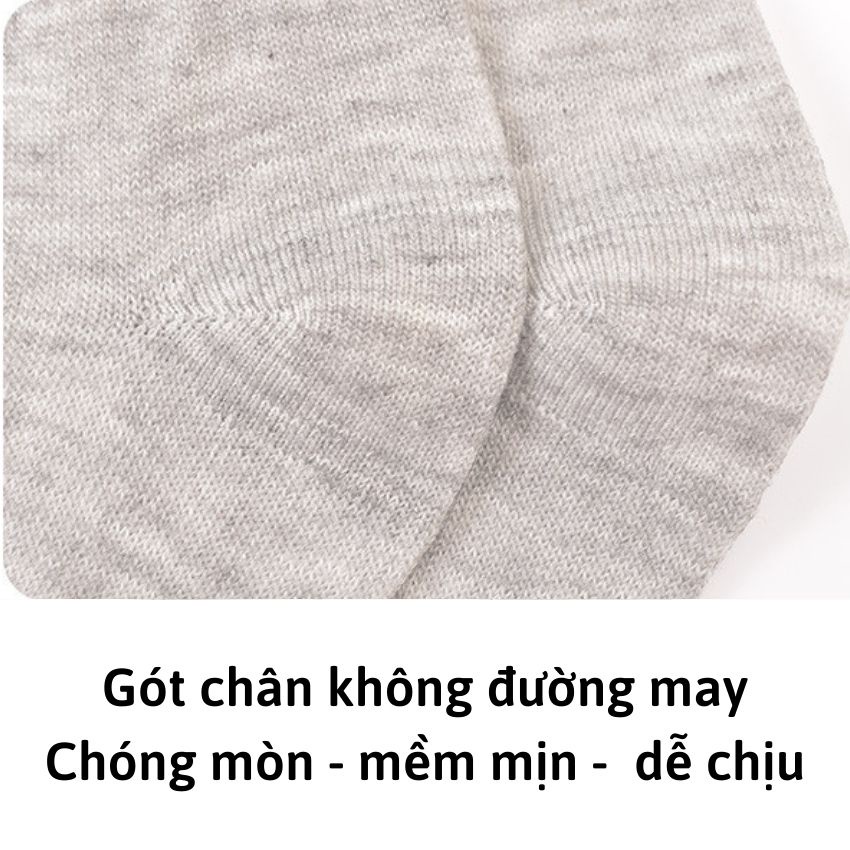 Tất nam cotton cao cấp co dãn chóng mòn, Vớ nam thể thao co dãn bền bỉ mềm mại T3480
