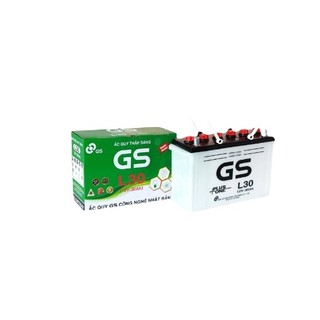 Bình ắc quy nước 12v-30ah, ắc quy ô tô gs l30