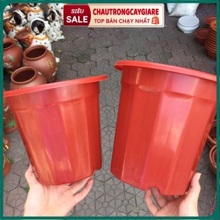 Chậu trồng cây dáng dài, nhựa dày dặn, trồng hoa hồng cây hoa, kích thước đa dạng 23x20cm, 25x23cm