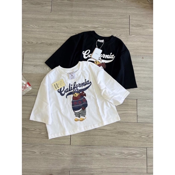 Áo thun Gấu lửng