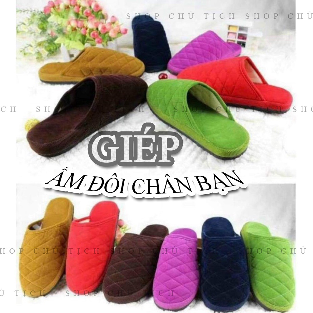 DÉP BÔNG TRONG NHÀ