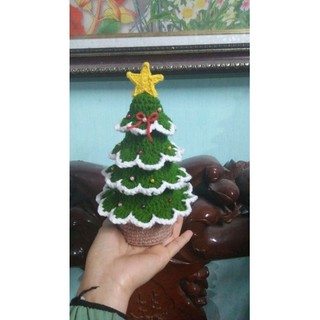 cây thông noel
