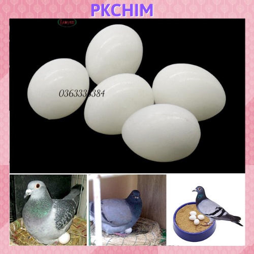 Trứng chim bồ câu giả Pkchim Trứng chim giả phụ kiện lồng chim