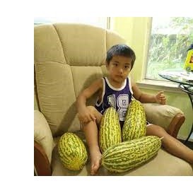 1Gr Hạt Giống Dưa Gang Truyền Thống