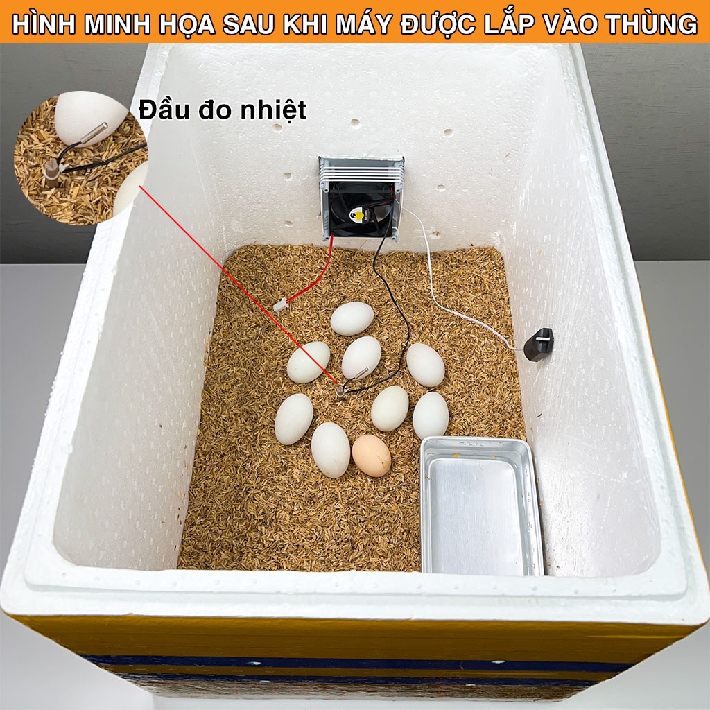 Máy ấp trứng Ánh Dương P100 tự lắp ráp phiên bản đảo tay